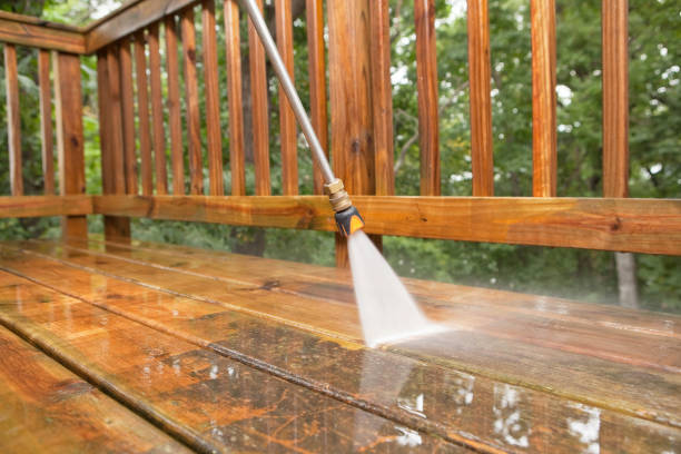 Best Solar Panel Cleaning  in Edgewater, NJ